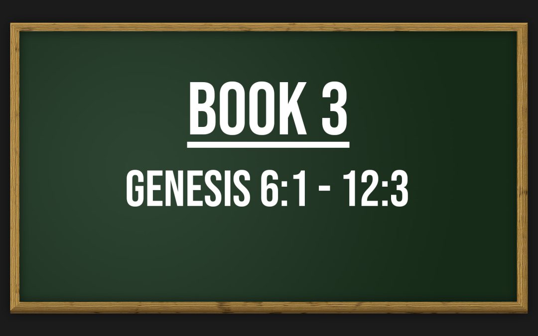 Book 3