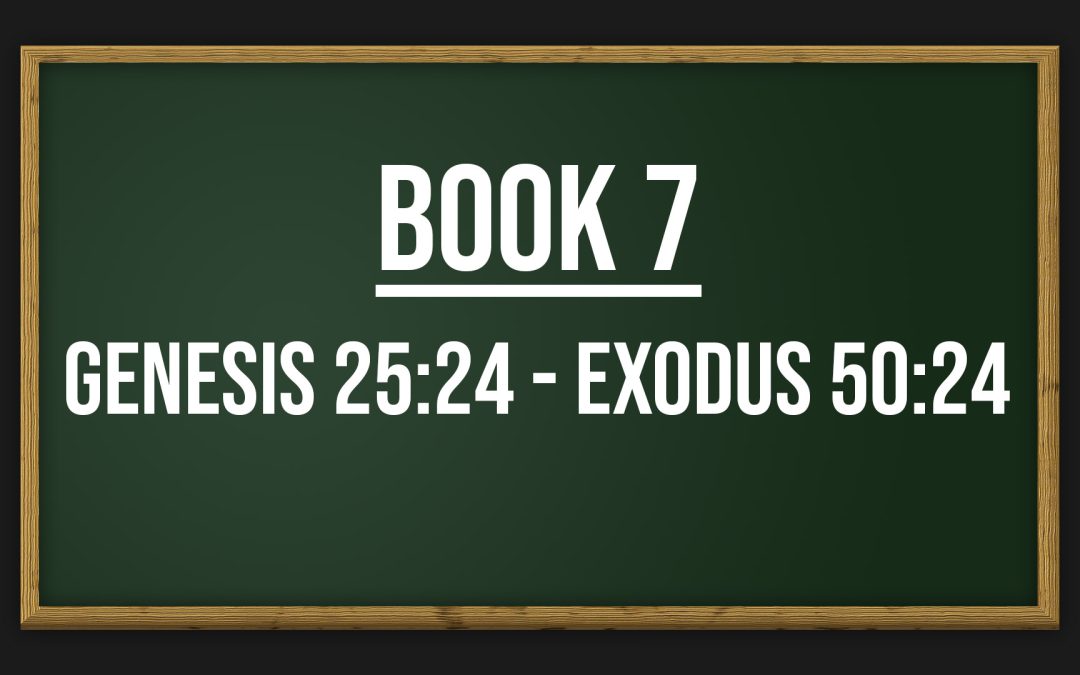 Book 7