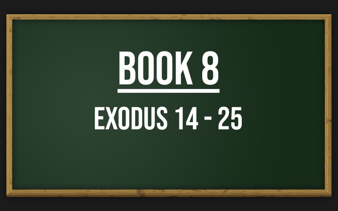 Book 8